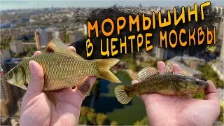 Мормышинг В Центре Москвы CF Nano Zero Air VS Dayo Prestige