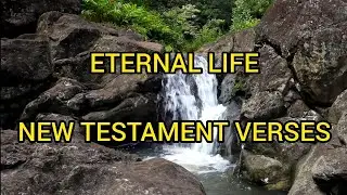 Eternal life - New Testament Verses 