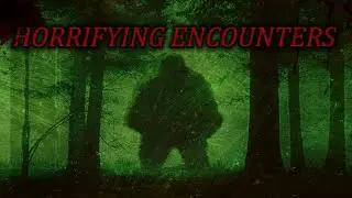 4 DISTURBING Park Ranger Scary Stories | Horrifying Encounters in The Wilderness