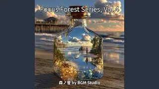 Focus Forest Series, Vol.4 &ndash; Forest Desk Hours
