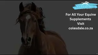Colesdale - Endeavon Product Range #horsecare #horsesupplements #equinehealth #equinecare