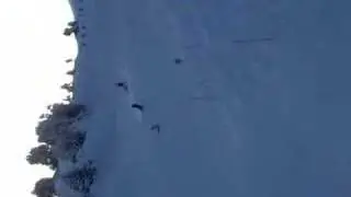Sander ski