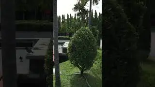 Beautiful park Chiang Mai Thailand ⛲️🐦🌴 #asmr #thailandtravel #beautifulparks #aesthetics #nature