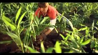 Canada Dry Ginger Ale - Growing on the Farm
