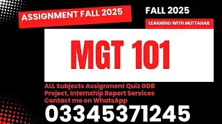 Mgt101 Assignment Solution Fall 2025