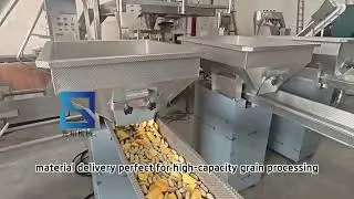 Vibrating Feeder