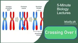 Crossing over Lecture 1 Urdu hindi