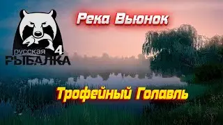 РР4 #7 Река Вьюнок. Трофей Голавль с первого заброса.
