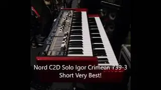 Nord C2D Solo Igor Crimean 739 3 Short Very Best