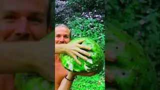 This Fruit Looks Dangerous&hellip; But It&rsquo;s Sweet Inside and sour and sooo juicy inside