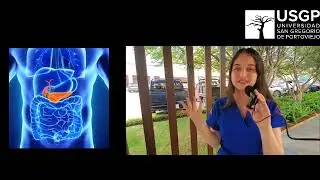MECANISMOS DE RETROALIMENTACI&Oacute;N - Fisiolog&iacute;a - 2do 