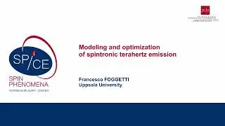 Talks - Terahertz Spintronics 2023 - Francesco FOGGETTI, Uppsala University