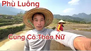 Khu Du Lịch Phù Luông : Ruộng Bậc Thang , Bản Mạ Nay Thuộc Xã Phù Luông Thanh Hoá .!