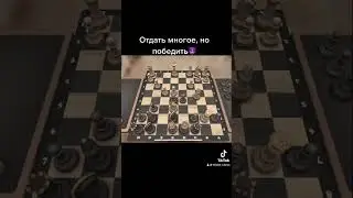 Игра в шахматы как на easy делаем партии рейтингах 2000