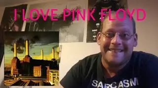 Pink Floyd - Pigs Reaction