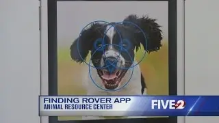 Dog found safe thanks to Finding Rover App