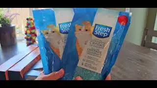ASMR DOLLAR TREE GUM CHEWING/TAPPING HAUL🎉09/02/25🎉CHECK OUT MY HAUL 