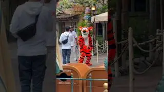 The BEST Tigger Interaction I&rsquo;ve Ever Seen At Disneyland!