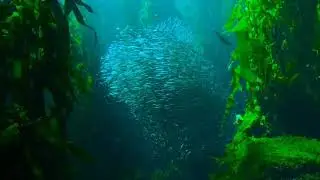 Betil elaxing Music, Peaceful Soothing Instrumental Music, 