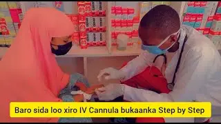 Baro sida loo xiro IV Cannula bukaanka Step by Step _ Education