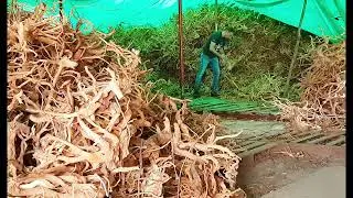 Spiderwood warehouse