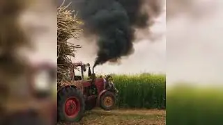 Ganne Ki Loading | Tractor Trolley Sugarcane Loading | Village Vlog 🚜🌾