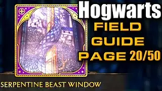 Serpentine Beast Window - Field Guide Pages - Hogwarts 18/50 | Hogwarts Legacy
