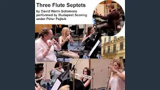 Serenade in the Summer Residence (Serenata Nella Residenza Estiva) (For Flute Septet)