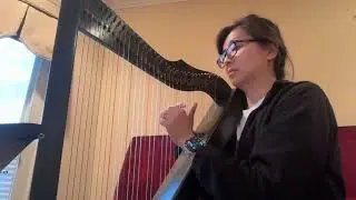 Pozzoli Harp Etude #2