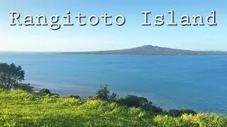 A Walk Up Volcanic Rangitoto Island