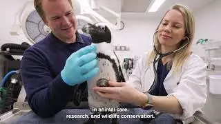 Mystic Aquarium enhances its mission with green energy projects through the Connecticut Green Bank