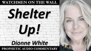 &ldquo;Shelter Up!&rdquo; &ndash; Powerful Prophetic Encouragement from Dionne White