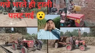 Jungle Mein Ganna Loading & Trolley Palti🌿 | @Mpss6 #vlog #vloging #foresttrip #dailyvlog #ytvlogs  