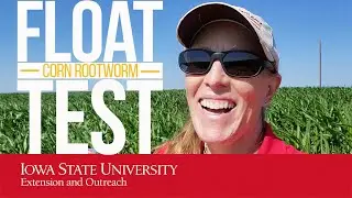 What is the FLOAT TEST? | How to Find Corn Rootworms