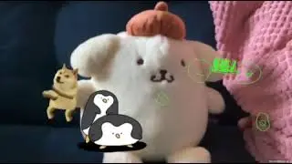 Penguin Pom Pom