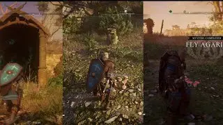 Magic mushrooms in Assassin's creed valhalla. Fly Agaric mission guide.
