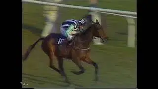 1991 Sun Alliance Chase Rolling Ball