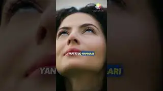 Tridosha Kya Hai? Ayurveda Ka Secret Jo Body, Mind Aur Personality Samjhata Hai