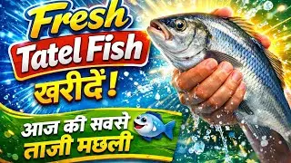Dubai Me Amul Fish Khari Kya Mast Banya Hai #dubai #food #youtubevideo 