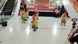 Tari kupu cedung 