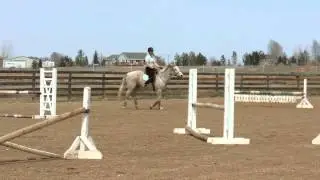 Kim Leonard English Jumping