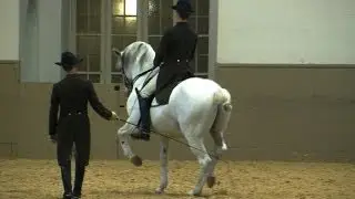 Una escuela de elite para la equitaci&oacute;n