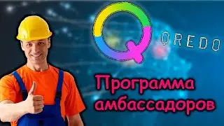 Программа амбассадоров в Qredo network