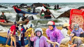 Ngư Dân Quảng Bình Vượt Sóng Đánh Tôm Bạc║Cá Đồng Cá Biển Chợ Hoàn Lão