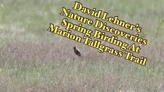 Nature Discoveries 65: David Lehner Spring Birding At Marion Tallgrass Trail