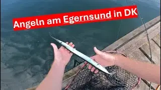 Angeln am Egernsund in D&auml;nemark