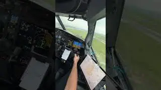BEST Boeing 737 Landing Video! ABSOLUTE BUTTER!