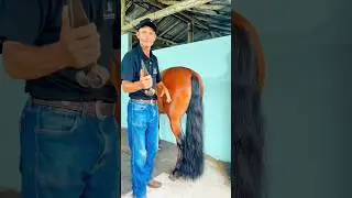 The most peaceful moment ~wood working art skill wood / hand crafts #shorts