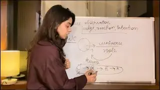 How state of pure Observation sets you free!