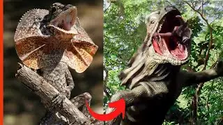 اغرب ما خلق الله من حيوانات عندما تكبر ! | تحول الحيوانات